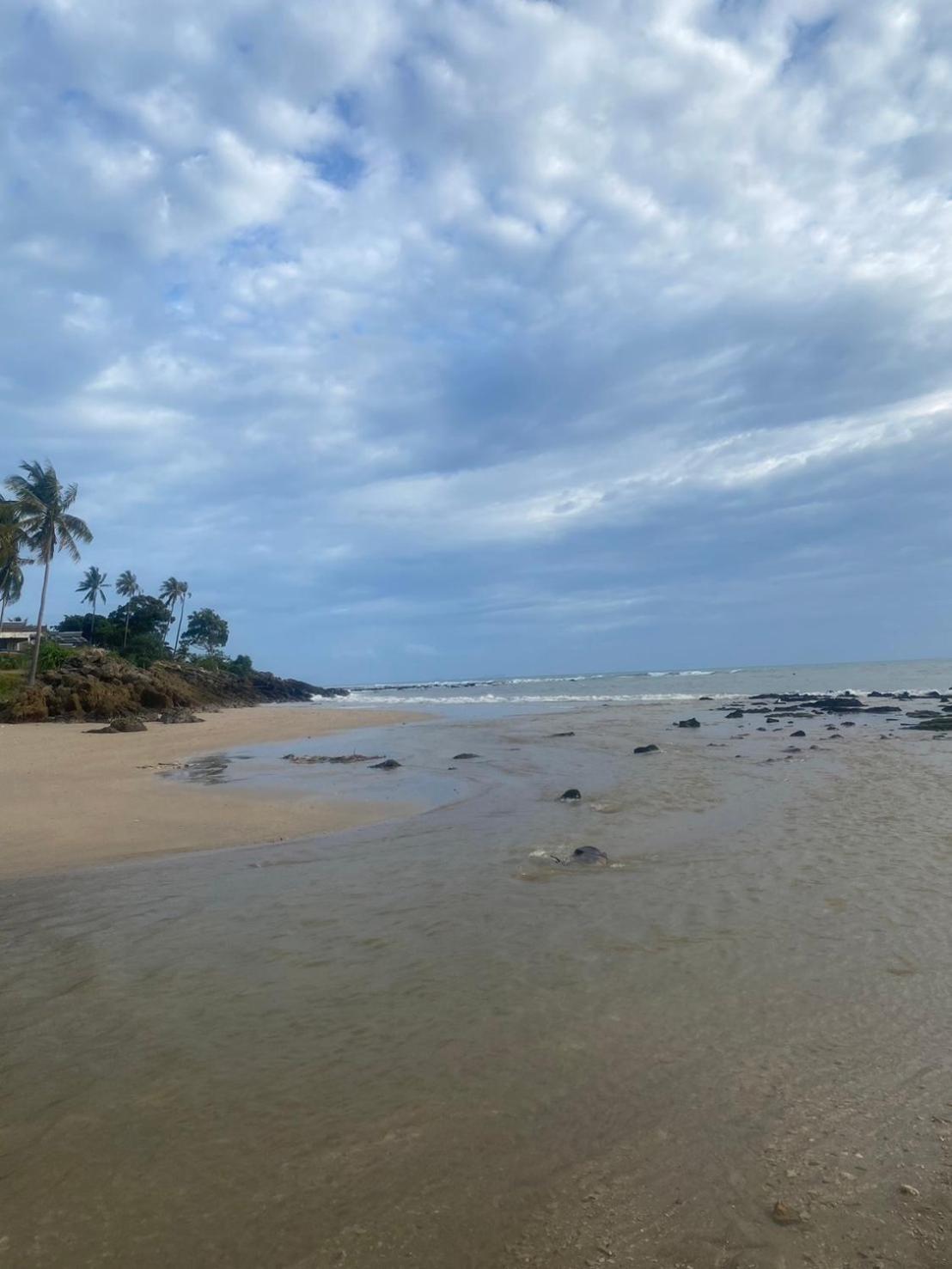 Arya Bungalow Ko Lanta Esterno foto